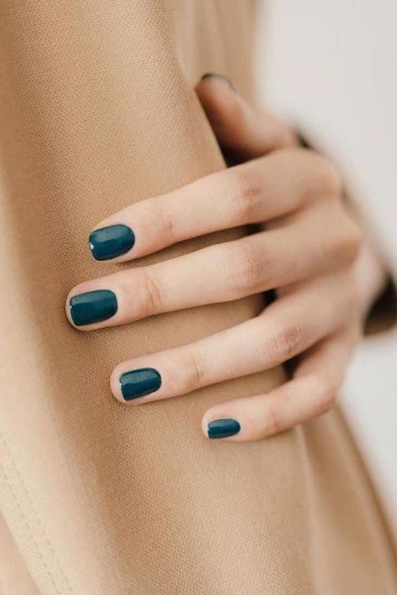 20 nail polish ideas to look elegant with beautiful tones